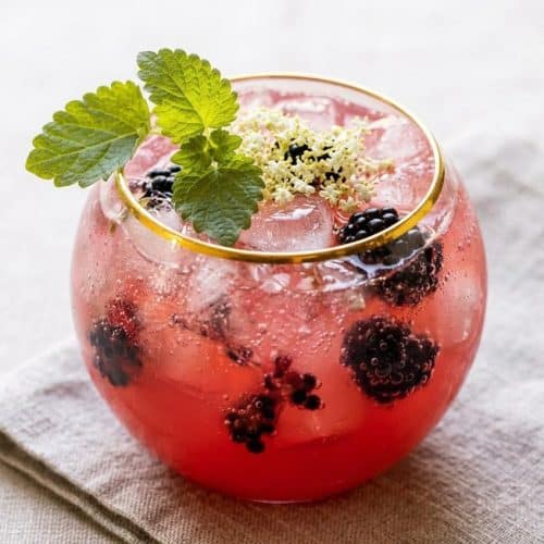 A Blackberry Champagne Mule in a tall glass filled with ice, garnished with a fresh mint sprig, showing its bubbly texture.