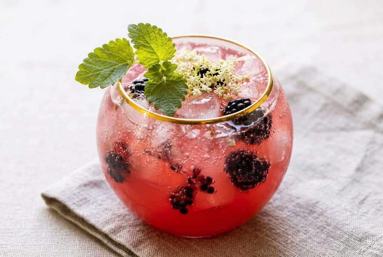 A Blackberry Champagne Mule in a tall glass filled with ice, garnished with a fresh mint sprig, showing its bubbly texture.
