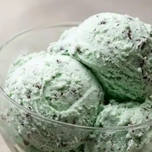 Creamy mint chocolate chip ice cream with delicate dark chocolate flakes scooped in a bowl.