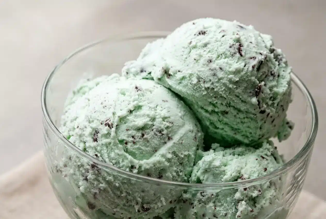 Creamy mint chocolate chip ice cream with delicate dark chocolate flakes scooped in a bowl.
