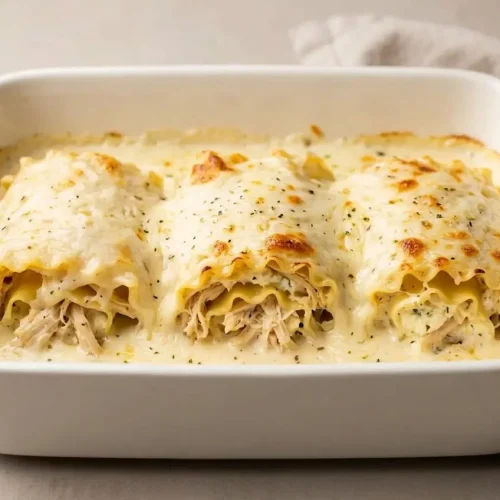 Baked chicken alfredo lasagna roll ups with golden melted mozzarella and creamy garlic sauce.