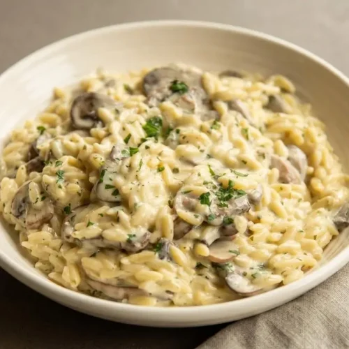 Creamy mushroom orzo served in a shallow bowl with browned chestnut mushrooms and a glossy parmesan finish.